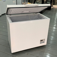Congélateur horizontal de haute qualité 200L pour viande et poisson, mini congélateur coffre à refroidissement direct pour la maison