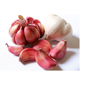 Ajo Fresco Directo de Bélgica, Precio Bajo, Stock al por Mayor, Ajo Rojo Común, 12 Meses de Vida Útil, Almacenamiento en Frío y Seco - Product Image 4