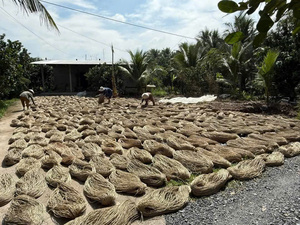 Personnalisé Vietnam prix usine artisanat torsadé naturel jonc de mer panier Style artisanat naturel - Product Image 2