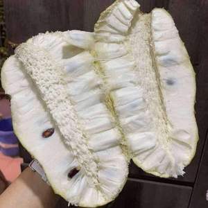 Soursop frais du Vietnam de qualité supérieure pour l'exportation et la vente en gros - Product Image 2