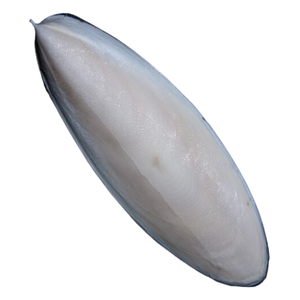 Comida para mascotas/pienso para loros 100% hueso de sepia seca natural F de VIETNAM de EXPAD COMPANY LIMITED - Product Image 6