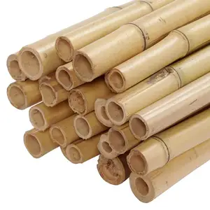 Canes en bambou naturel à vendre en gros, qualité supérieure, piquets de jardinage en bambou du Vietnam - Product Image 1