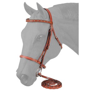 Brida ecuestre con brida acolchada de tamaño completo, tubería de gasolina, obstáculos equinos de alta calidad, espectáculo de productos para caballos - Product Image 1