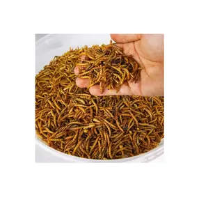 dried mealworms bulk oem private label pet food for small pet feeds supplier