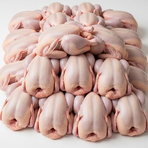 Clean and <b>Frozen</b> Whole Chicken for Commercial Buyers Bulk Supply Trimmed and Packed OEM Branding Available - Product Image 5