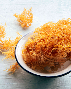 Algues marines de haute qualité, superaliment, étiquette propre, pour la santé immunitaire et le soutien de la détoxification - Product Image 4