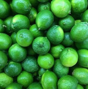 Premium <b>Fresh</b> Seedless Lime For Sale - Product Image 1