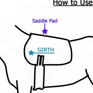 Cincha para Caballo de Alta Calidad, Cincha de Cuero en Oferta, Cincha para Caballo Más Vendida - Product Image 6