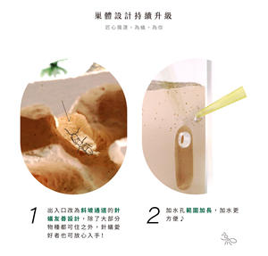 Hormiguero Moderno Mediano de Acrílico Integrado con Botón a Presión para Sala de Estar, Edición Exploración Egipcia - Product Image 5