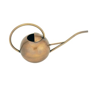 Petit arrosoir en laiton pour plantes d'intérieur Matériau en acier à revêtement en poudre antirouille avec des accents de cuivre élégants - Product Image 1