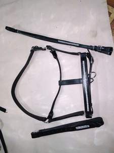 VENDRE montrer bling cuir licou HORSE Halters fabriqué en dollar indien 6 tailles plein cob shetland - Product Image 4