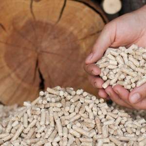 Granulés de bois de haute qualité Briquette en forme de bâton Granulés de biomasse en gros Nice et pas cher - Product Image 4