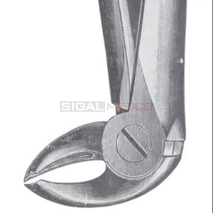 Fig. 15 Forceps d'extraction de dents de tailles différentes Instruments médicaux dentaires Prix de gros Fournisseur en vrac - Product Image 4