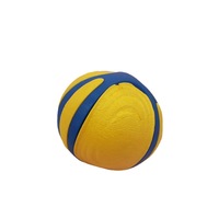 Jouets à mâcher pour chiens, ballon de basket rebondissant pour chiots et grands chiens, jouets interactifs pour la dentition, ensemble de jouets pour chiens en gros