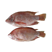 Gueule de poisson entière nutritive à vendre Gueule de poisson Corvina séchée, gueule de morue séchée et gueule de poisson pangasius