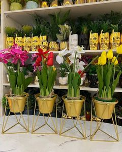 Jardinière décorative en métal orné avec de beaux détails idéaux pour les arrangements de plantes d'intérieur et l'aménagement extérieur - Product Image 2