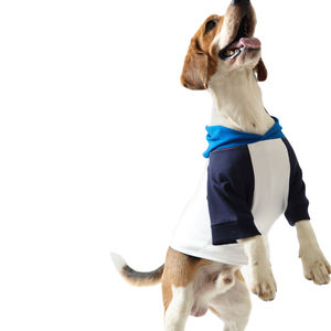 Sweat à capuche chaud pour chien 100% de haute qualité, doux et confortable pour les chiens pour les garder au chaud en toutes saisons, sweats à capuche pour chiens OEM - Product Image 2