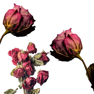 ดอกกุหลาบสีแดงแห้ง | กลีบดอกอเนกประสงค์สำหรับความหอมและผ่อนคลาย - Product Image 4