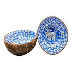 Nuevos cuencos de coco lacados de primera calidad Estilo único y diseño colorido para exportación a granel - Product Image 4