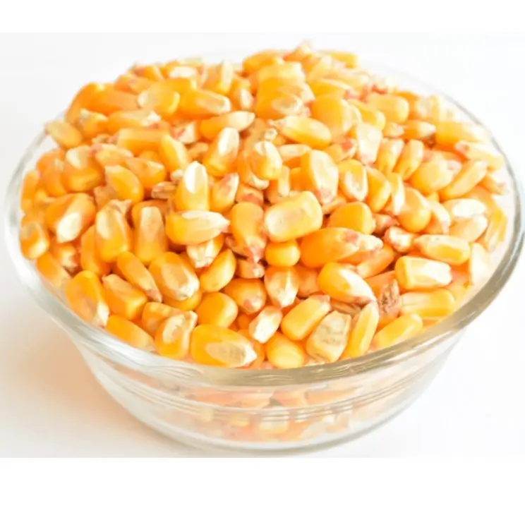 Высококачественная Желтая Кукуруза/сушеная Желтая Кукуруза по лучшей оптовой цене