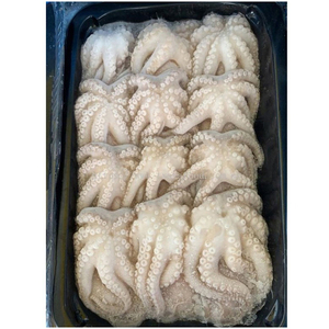 ปลาหมึกแช่แข็งคุณภาพสูงขนาดใหญ่ ราคาสุดคุ้ม - Product Image 2