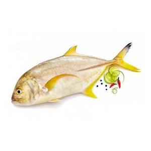 Pescado fresco congelado, pescado trevally, barbacoa, paquete de embalaje de estilo a granel, peso, pescado Tilapia - Product Image 2