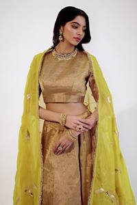 Conjunto de Blusa, Lehenga Choli y Dupatta Banarasi Zari, Ropa Moderna Reversible para Fiestas, para Todas las Temporadas, Estilo Indio y Pakistaní - Product Image 3