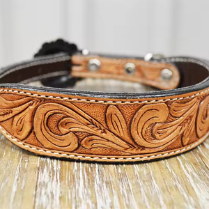 Collar de perro de cuero ajustable sólido más vendido estilo occidental clásico pluma de liberación rápida herramienta de entrenamiento duradera al por mayor - Product Image 1