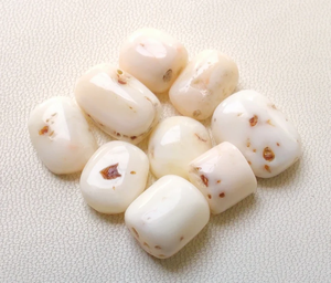 ปะการังสีขาวญี่ปุ่น52กะรัตปะการังญี่ปุ่นธรรมชาติหินรูปไข่ปะการังสีขาวอัญมณีสีขาวปะการังขัดเรียบ - Product Image 5