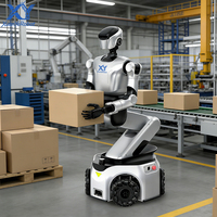 Robot humanoïde : Mouvement à double bras pour l'alimentation des pièces automobiles et le tri en e-commerce avec une portée de ±180° °   Couverture complète de la taille et de la taille haute