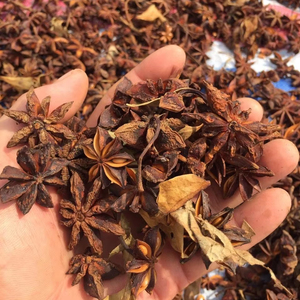 Qualité supérieure Automne Anis étoilé Vietnam Grande Fleur Forêt Naturelle Origine du Vietnam Épices Simples Séchées Herbes Prêt à Expédier - Product Image 3