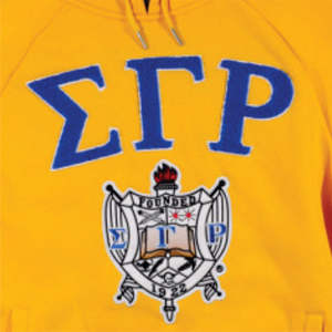 Logo personnalisé 60% coton 40% polyester 350 gsm polaire chenille broderie or royal SGR pull à capuche - Product Image 6