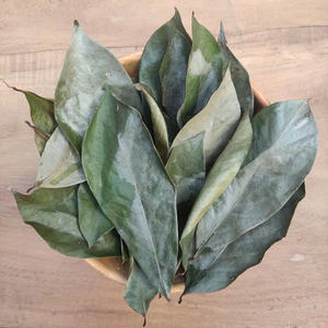 Feuilles de corossol séchées en vrac, thé de feuilles de graviola, produit naturel pour l'industrie du thé - Product Image 1