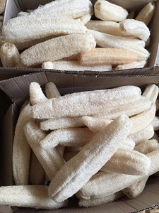 ใยบวบธรรมชาติดิบ,ใยบวบทั้งตัวมีหลายขนาดไม่ฟอกสีแข็งและอ้วนสำหรับตลาดเกาหลีราคาถูกที่สุดในเวียดนาม - Product Image 5