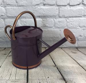 Arrosoir en métal de couleur bleu ciel avec poignée Durable pour l'entretien des plantes de jardinage Utilisation d'arrosage de jardin intérieur et extérieur - Product Image 5