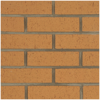Briques d'argile naturelles modernes et anciennes pour la décoration murale, briques réfractaires autoclavées, ciment fritté mince, résistantes aux acides, élégantes