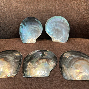 Luxurious Yellow Lip Mother of Pearl <b>Plate</b> Caviar Serving Dish Serving <b>Plate</b> Made of Shell Handmade Vietnam Caviar <b>Plate</b> - Product Image 1