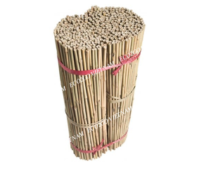 Offre Spéciale prix le moins cher 2025 piquets de bambou/cannes de bambou/pieu de bambou jardinage Tonkin de haute qualité fabriqué au Vietnam - Product Image 5