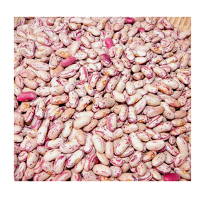 Gros en vrac gros haricots mouchetés de lumière (récolte récente) de haute qualité 10kg vente à prix bon marché - Product Image 6