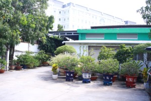 Correa de plástico PET transparente o verde personalizable para uso a máquina o manual OEM ODM grado económico - Product Image 6