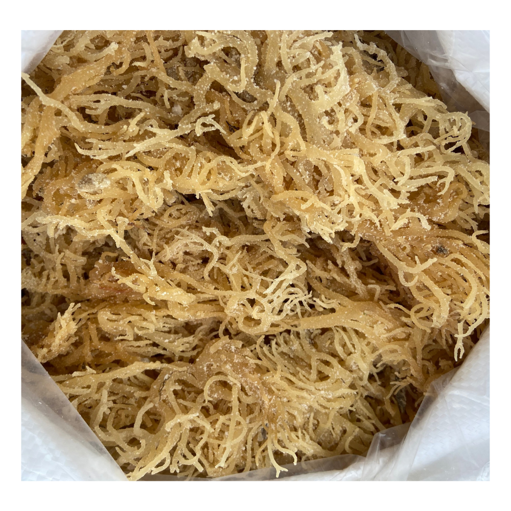 Hot Sales Sun Dried Wildcrafted Dried Seaweed - Dried Purple and Gold Seamoss, Golden Irish Seamoss With & Without Salt
