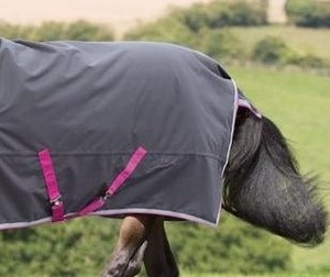 Vente en gros de couverture de cheval en coton léger et durable gris foncé imperméable pour toutes les saisons pour l'hiver - Product Image 3