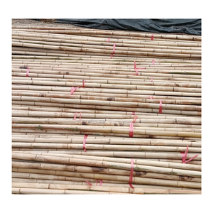 Holesale Premium amamboo oles de ietham para aking ENCE aking y Garden Lant upupport - Product Image 1