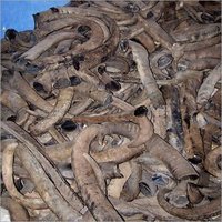 Pointe de corne de buffle brute de haute qualité, taille personnalisée, couleur naturelle polie, artisanat naturel décoratif portable pour les fêtes religieuses