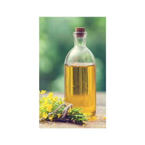 Huile brute de colza canola raffinée biologique de qualité supérieure prix de gros - Product Image 1