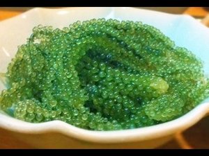 สาหร่ายทะเลเวียดนามพรีเมียม – ไข่ปลาคาเวียร์สีเขียวสดใหม่ที่อุดมด้วยสารอาหาร - Product Image 2