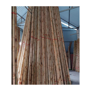 เสาไม้ไผ่ตรงคุณภาพสูง เสาไม้ไผ่ขนาดใหญ่ ขายสำหรับงานก่อสร้าง - Product Image 1