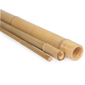 เสาไม้ไผ่มอสโก/เสาไม้ไผ่ธรรมชาติสีเขียว/สีเหลืองสำหรับการก่อสร้าง - Product Image 1