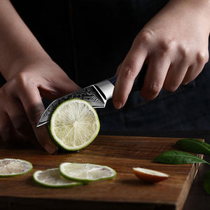 Couteau de chef en acier Damas de haute qualité à 67 couches, fait à la main, extra-affûté, compatible lave-vaisselle, pour pique-nique, épluchage de fruits, manche G10 - Product Image 3