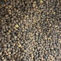 2026 SALE Aziatische Blauwe Lotus 100% Biologische Gedroogde Papajazaadjes Tropisch Fruit Huis & Tuin 24 Maanden Houdbaarheid Kruidenthee